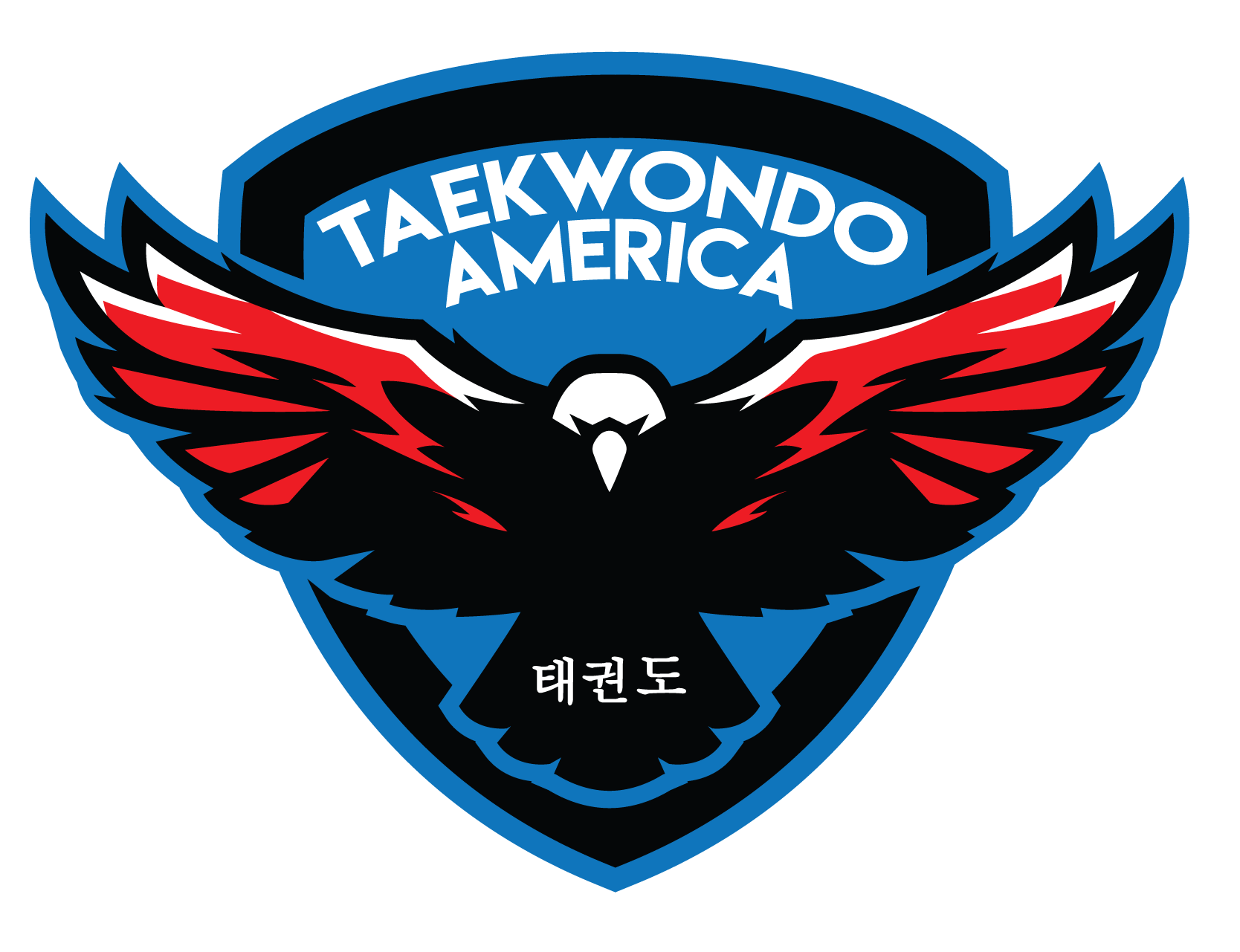 back patch-01 | Taekwondo America